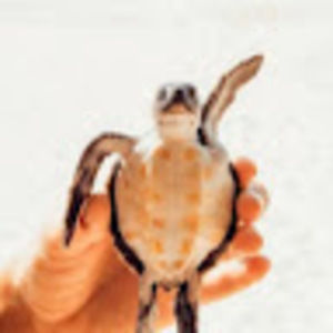 Meet your Posher, Janay